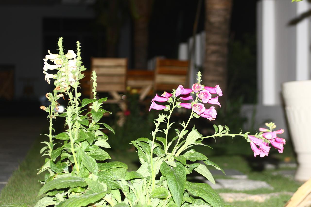 Ocean View Hotel 芽庄 外观 照片